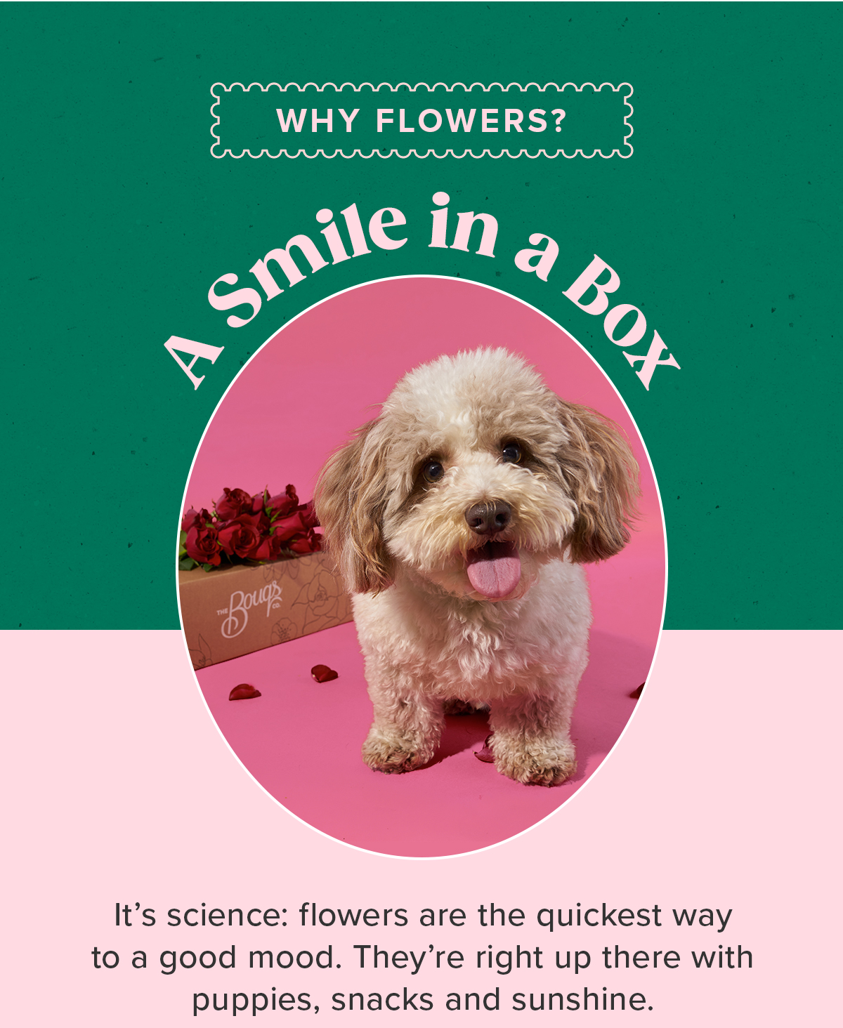 The benefits of fresh flowers 🌸 The Bouqs Company